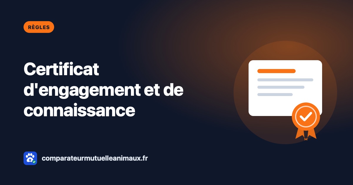 Certificat d'engagement et de connaissance : ce qu'il faut savoir