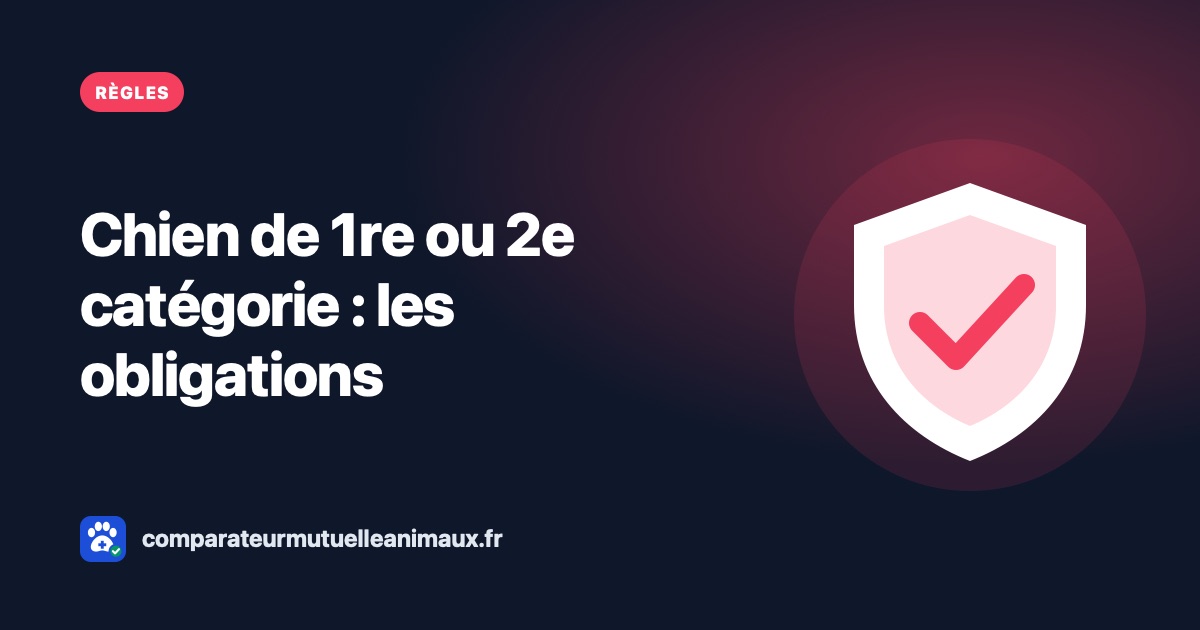 Chien de 1re ou 2e catégorie : toutes les obligations