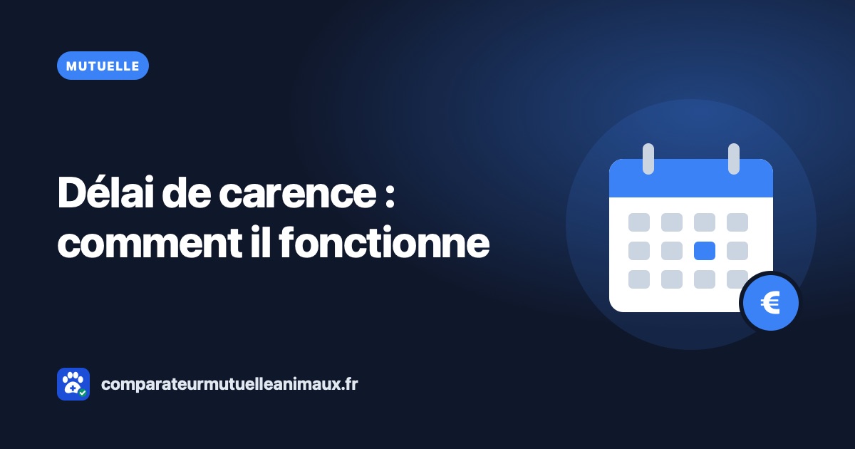 Délai de carence d'une mutuelle chien ou chat : comment il fonctionne