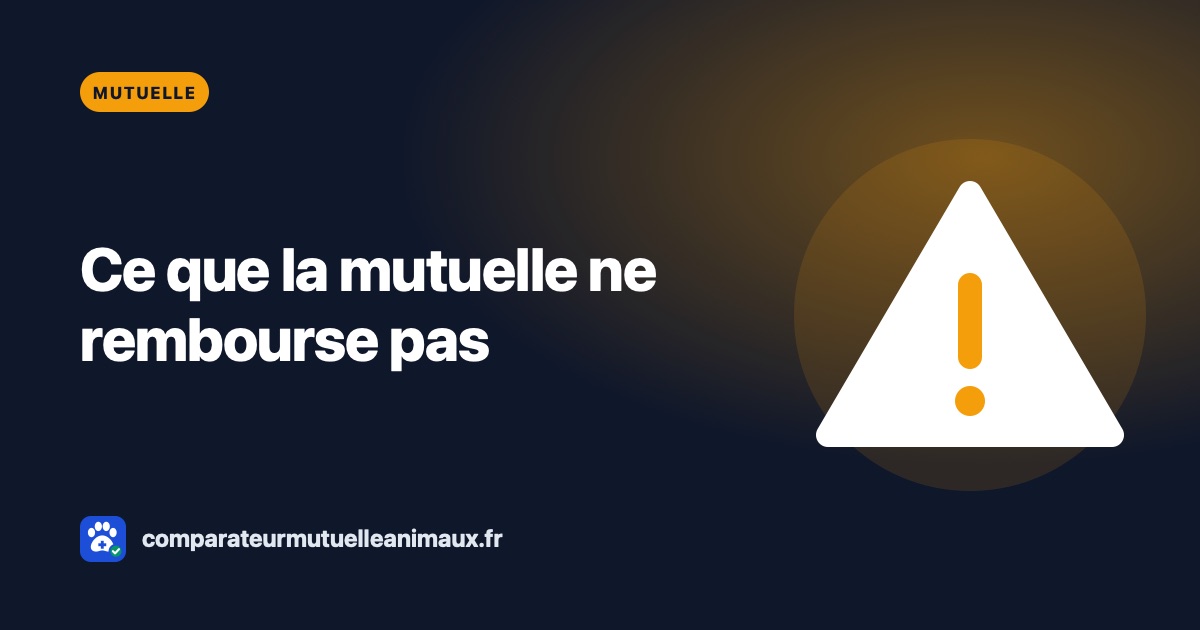 Exclusions d'une mutuelle chien ou chat : ce qui n'est pas remboursé
