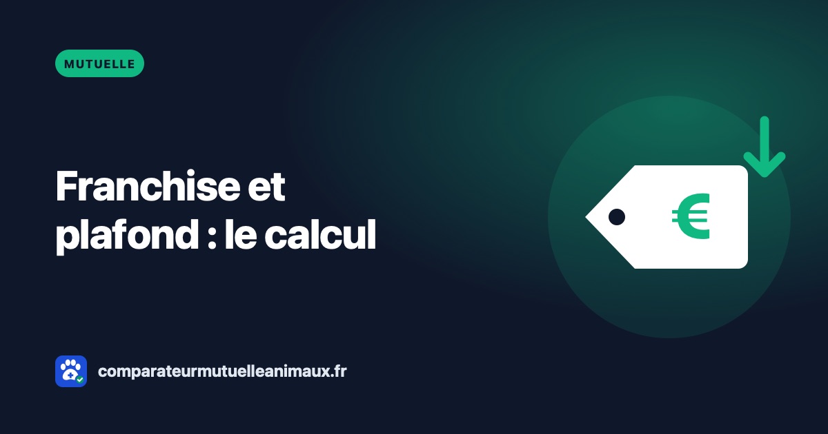 Franchise et plafond d'une mutuelle animale : comment ils se calculent
