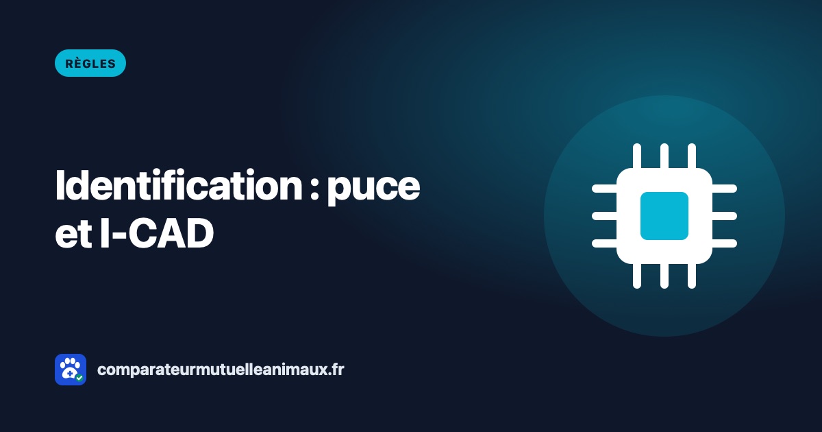 Identification du chien et du chat : puce, I-CAD et obligations