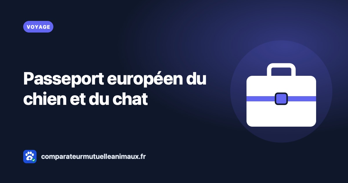 Passeport européen du chien et du chat : obtention et voyage