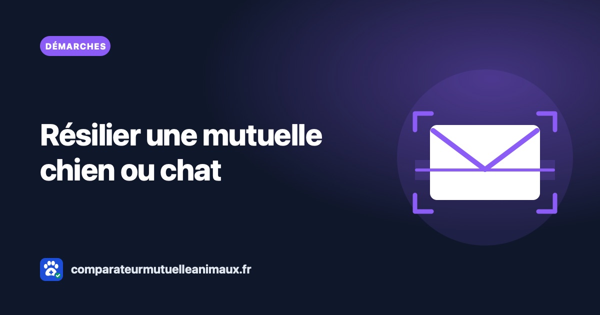 Résilier une mutuelle chien ou chat : quand et comment